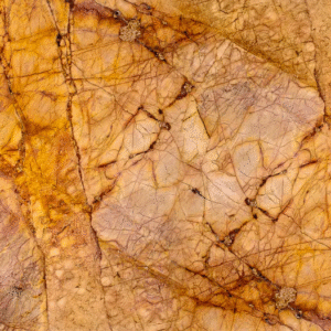 رخام فالينسيا